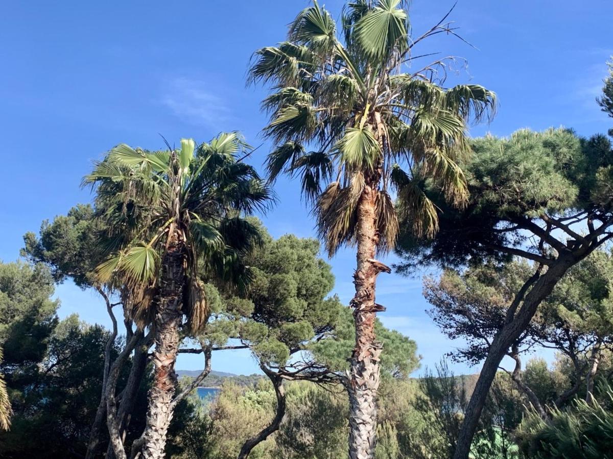 Bergerie plage Hyères Exterior foto